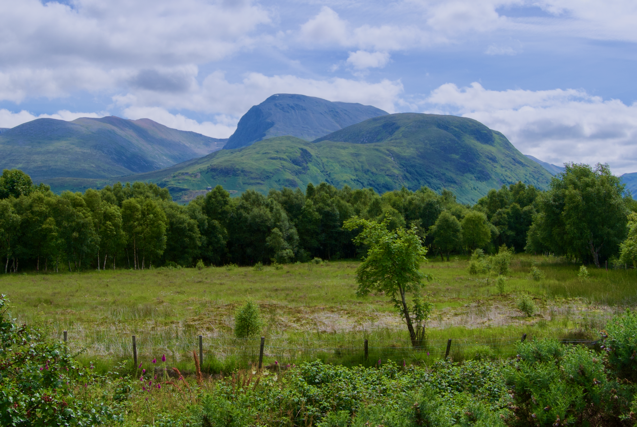 Read more about the article A Brief Visit of Ben Nevis